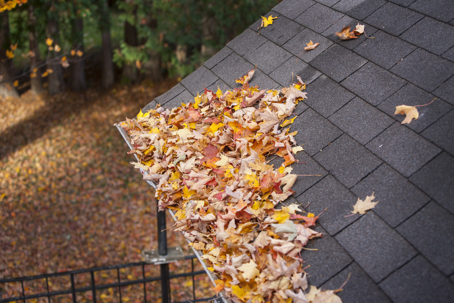 fall leaves by the edge of the roof